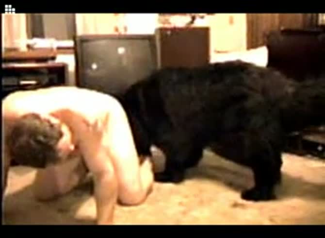 Video :Hairy ass gay beastiality lover having sex with dog